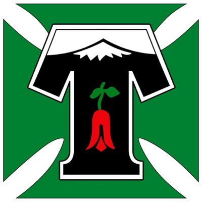 TWITTER OFICIAL La historia comienza en 1916 como Green Cross. Desde 1960 como Deportes Temuco. 1 Título de Primera y 5 de Primera B. Somos ¡El Gigante del Sur!