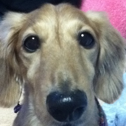 madoo634's profile picture. 2021 自分に今できることは、たくさんの情報が渦巻く世界で、真実を自分で見極めること！ ※Twitterの使い方はイマイチわからんƪ(•̃͡ε•̃͡)∫ʃ なんか突然絡んできて人のツイートにいちゃもんする人は時間の無駄だし即ブロック!!