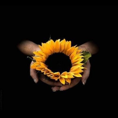 ddmmgghula's profile picture. 