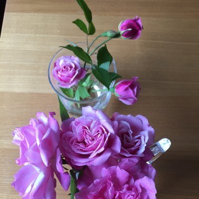 kkii2311's profile picture. 宮城県在住。 ウサギ年。仙台弁こけしちゃん大好き！ Twitterは超々初心者で、毎回悩みながら呟いております。 ラジオ大好きです。☺️   草花なんでも育てたくなります。