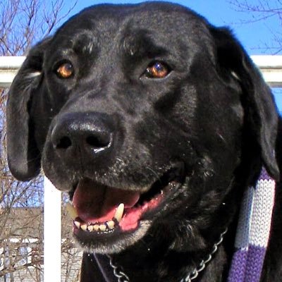 Michael17578469's profile picture. 