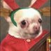 Twin (@twinontwitch) Twitter profile photo Twin (@twinontwitch) Twitter profile photo