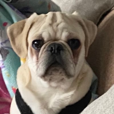 msund21's profile picture. I would rather have questions that cannot be answered than answers that cannot be questioned.