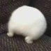 joet (@zhuotingtan) Twitter profile photo joet (@zhuotingtan) Twitter profile photo