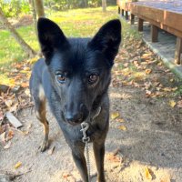 Nana ☺︎ (@amoreeterno_f) 's Twitter Profile