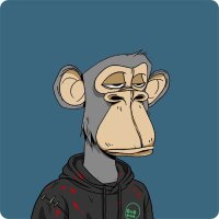 allc (@allcl9) 's Twitter Profile