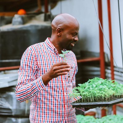 Farmer @SerengetiFarm | Founder @MkulimaMakini | Agribusiness Consultant | Columnist @MwananchiNews | 2019 Tanzania Youth Awards Agro - Excellence Winner