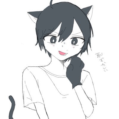 かめさんのプロフィール画像