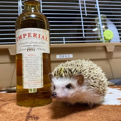 whisky_go_ Profile Picture