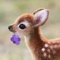 ํ (@moksi_moksi) 's Twitter Profile