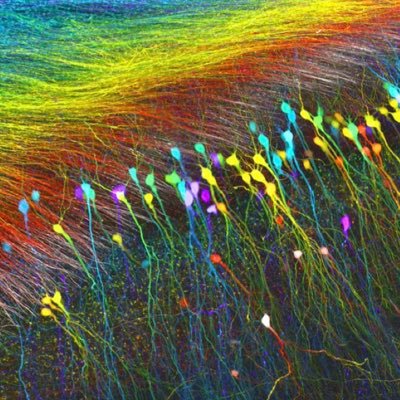 eugenexci's profile picture. 