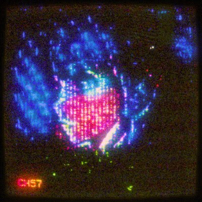 championthread's profile picture. crypto player