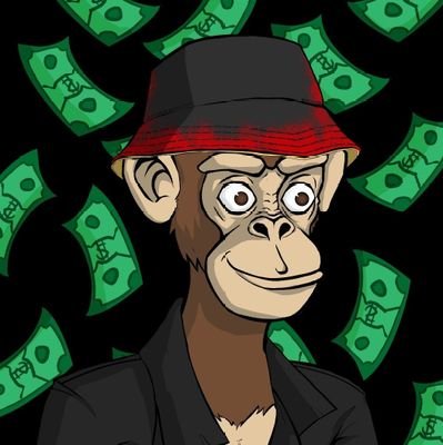 Feed3301's profile picture. Dream do come do !