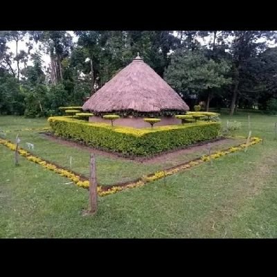 amTom33's profile picture. open mind.