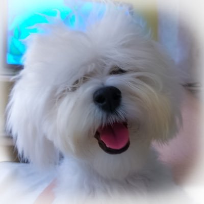 azevedo_marinac's profile picture. Comentários sobre TV, reality, política, celebs e tudo o que der na telha. É sobre.