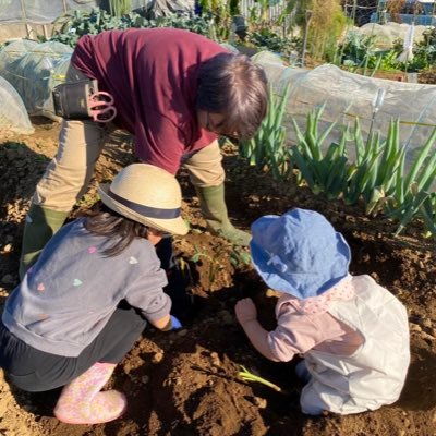 家庭菜園が趣味のばあばです。失敗もまた楽しみながら日々野菜作りに励んでおります。農業、家庭菜園アカウントです。最近は、たまに違う事もつぶやきます。誤字脱字変換ミス多目です 。色々失礼がありましたらお許しくださいませ。勧誘、セールス、フォローや登録のおねだりお断りします。宜しくお願い致します。