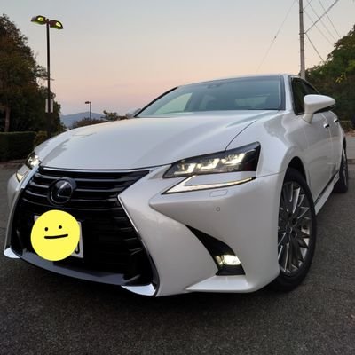 niki_LEXUS Profile Picture