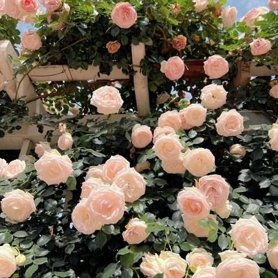 hp12878091's profile picture. 