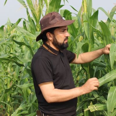 DrSajjadkhanPK's profile picture. 