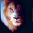 n_ahel's profile image