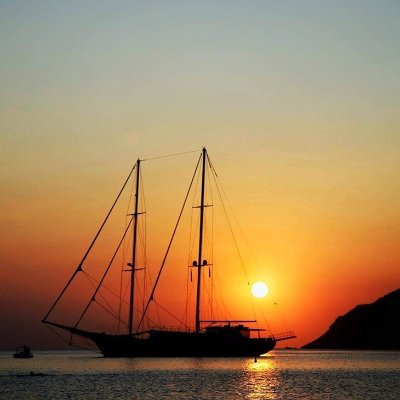 Gazzel08's profile picture. Human, critical thinker, animal lover.