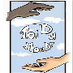 Toi Du Monde (@toidumonde) Twitter profile photo Toi Du Monde (@toidumonde) Twitter profile photo