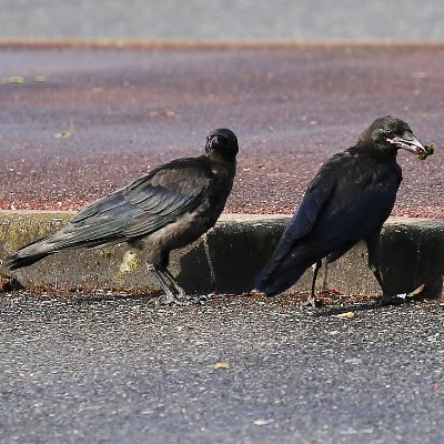 aleksanderkast1's profile picture. 