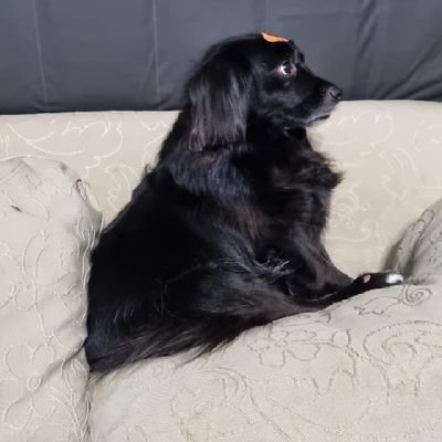 marcominfo2's profile picture. Patriota de direita 🇧🇷🇧🇷🇧🇷🇧🇷🇧🇷