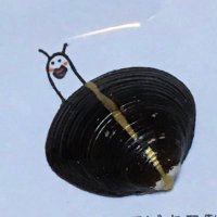 ホタテビキニ製作所 デザフェス 11/17 O-107日曜日 (@hotate_bikini) 's Twitter Profile