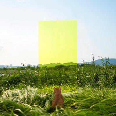 naxu_tw's profile picture. 前へ前へ❤️‍🔥