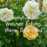 Zweifler21 (@zweifler21) 's Twitter Profile