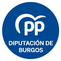 PP Diputación Burgos(@PPDipuBur) 's Twitter Profile Photo