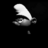 marco120983's profile image
