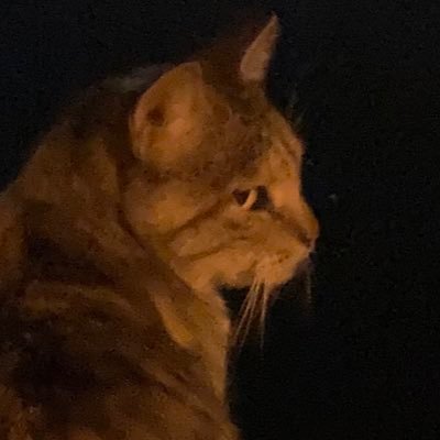 hHf2JNokxqYe8Gz's profile picture. 日本の平均的な地方都市在住のサラリーマン 中間管理職 不動産収入わずかにあり 子供2人いる 40代 差別嫌い 戦争反対 焼酎派 フォローありがとう