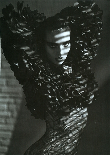 CarolaRemer's profile picture. 