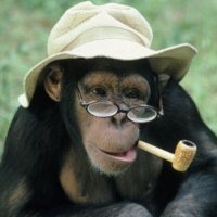 Nobody special (@shane58637790) 's Twitter Profile Photo