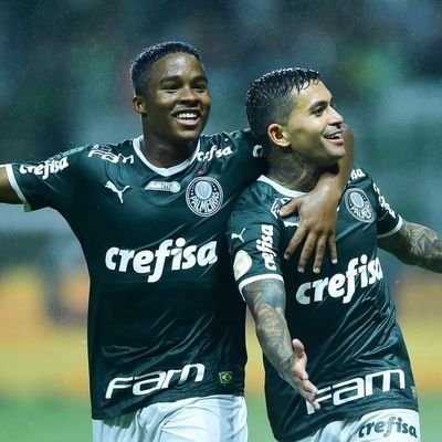 Twitter com referência ao Palmeiras e futebol, criado em base de diálogo, notícias e debates, o Grupo Forza Palmeiras Palmeiras, surgiu em meados de 2016