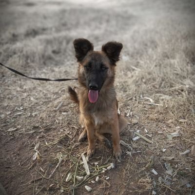 hank2256's profile picture. Talking bout whats going on ... whats whatsup... everyday