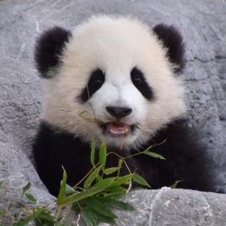 my_lk_'s profile picture. ↑20￤夢女￤地雷無(腐含め)