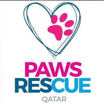 Paws Rescue Qatar is an animal welfare group seeking to provide shelter and support to abandoned dogs and cats