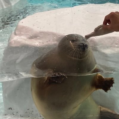 tetsuya19740314's profile picture. キン