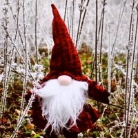 hinter-den-7-Bergen (@lighttoallnow) Twitter profile photo