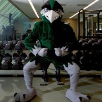 DuPage Men's Basketball (@codmensbball) 's Twitter Profile