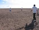 farming/exporting/south america and asia development.