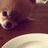 luce_mare's profile image