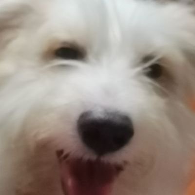 Tintinxxi1's profile picture. Taytay