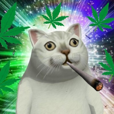 XINGZ0102's profile picture. 