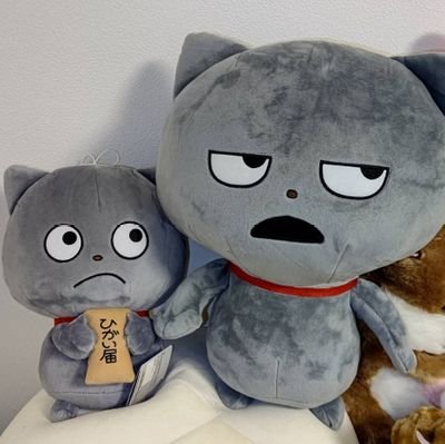 kriumumu's profile picture. 腰痛怨念人間／T9専用投稿ch→https://t.co/IdyOz7lns7
／動画リスト垢→@karipippipeople