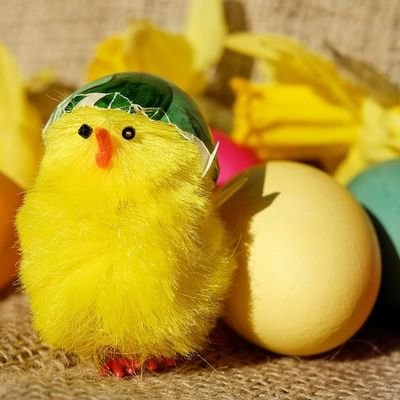 apnaren's profile picture. 