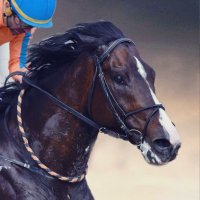 𝓚𝓸𝓻𝓪𝔂 (@nuisancee) Twitter profile photo